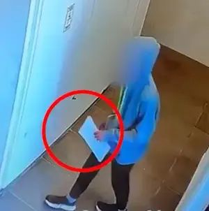 У Рош-га-Аїні 15-річного підлітка звинувачують у жорстокому вбивстві кота зі свастикою та запискою у школі